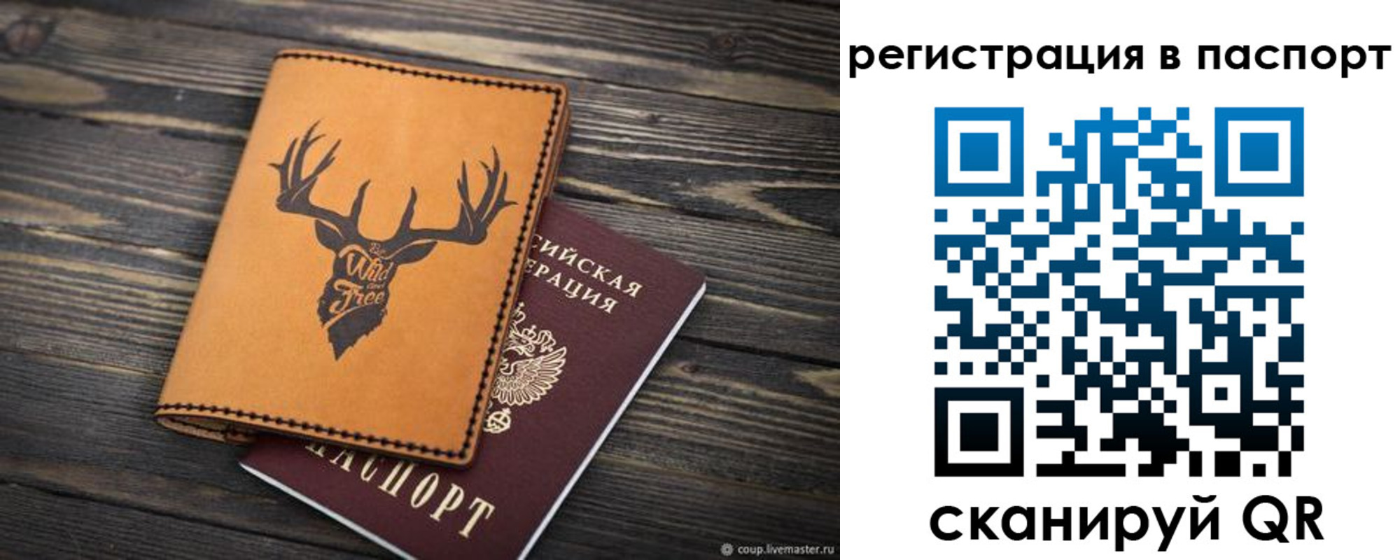 прописка паспорт в Каргате